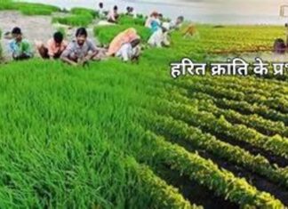 भारत में हरित क्रांति और उसके प्रभाव क्रांति के प्रभाव (1)