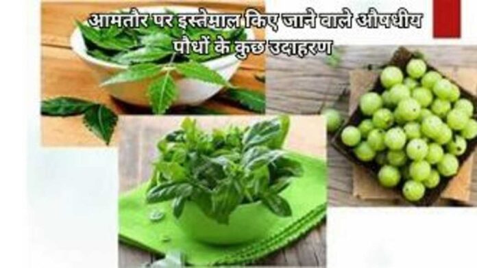 Add a heading (21) (1)