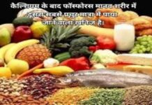 के बाद फॉस्फोरस मानव शरीर में दूसरा सबसे प्रचुर मात्रा में पाया जाने वाला खनिज है। (1)