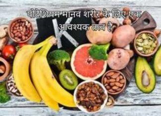 पोटैशियम के कार्य, मात्रा, स्रोत, फायदे और नुकसान – Potassium Sources, Benefits And Side Effects मानव शरीर के लिए एक आवश्यक तत्व है (1)