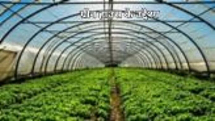 हाउस के उद्देश्य (1)