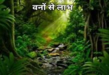 Add a heading (33) (1)