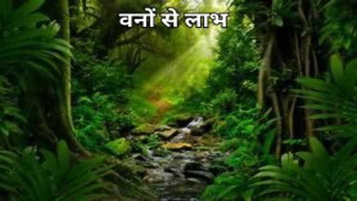 Add a heading (33) (1)