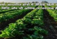 आधारित क्षेत्रों में जैविक खेती की विधि और भी अधिक लाभदायक है (1)