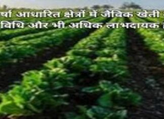 जैविक खेती से होने वाले लाभ आधारित क्षेत्रों में जैविक खेती की विधि और भी अधिक लाभदायक है (1)