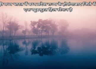 पचमढ़ी हिल स्टेशन की यात्रा और अन्य जानकारी Add a heading (42) (1)