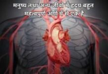 Add a heading (44) (1)