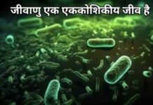 एक एककोशिकीय जीव है (1)