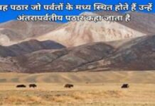 पठार जो पर्वतों के मध्य स्थित होते हैं उन्हें अंतरापर्वतीय पठार कहा जाता है (1)