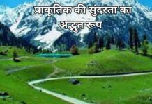 Add a heading (48) (1)