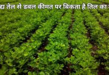 Add a heading (50) (1)