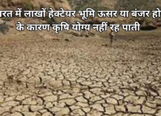 बंजर भूमि किसे कहते हैं Add a heading (55) (1)