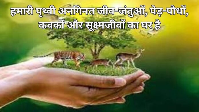 Add a heading (58) (1)