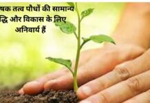 Add a heading (6) (2)