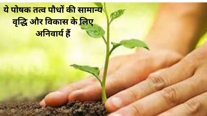 Add a heading (6) (2)