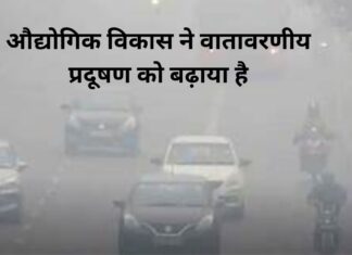 वातावरणीय प्रदूषण और प्रजनन स्वास्थ्य Add a heading (8) (2)