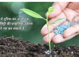 यूरिया का निर्माण Add a heading (98) (1)