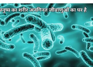 जीवाणु (बैक्टीरिया) से होने वाले प्रमुख रोग